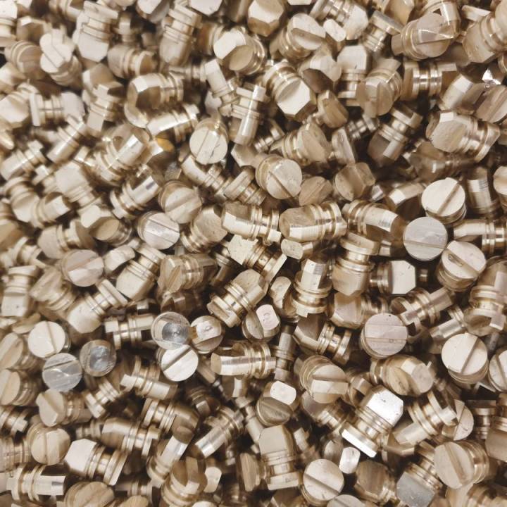 Special Screw India Inc. Example 2